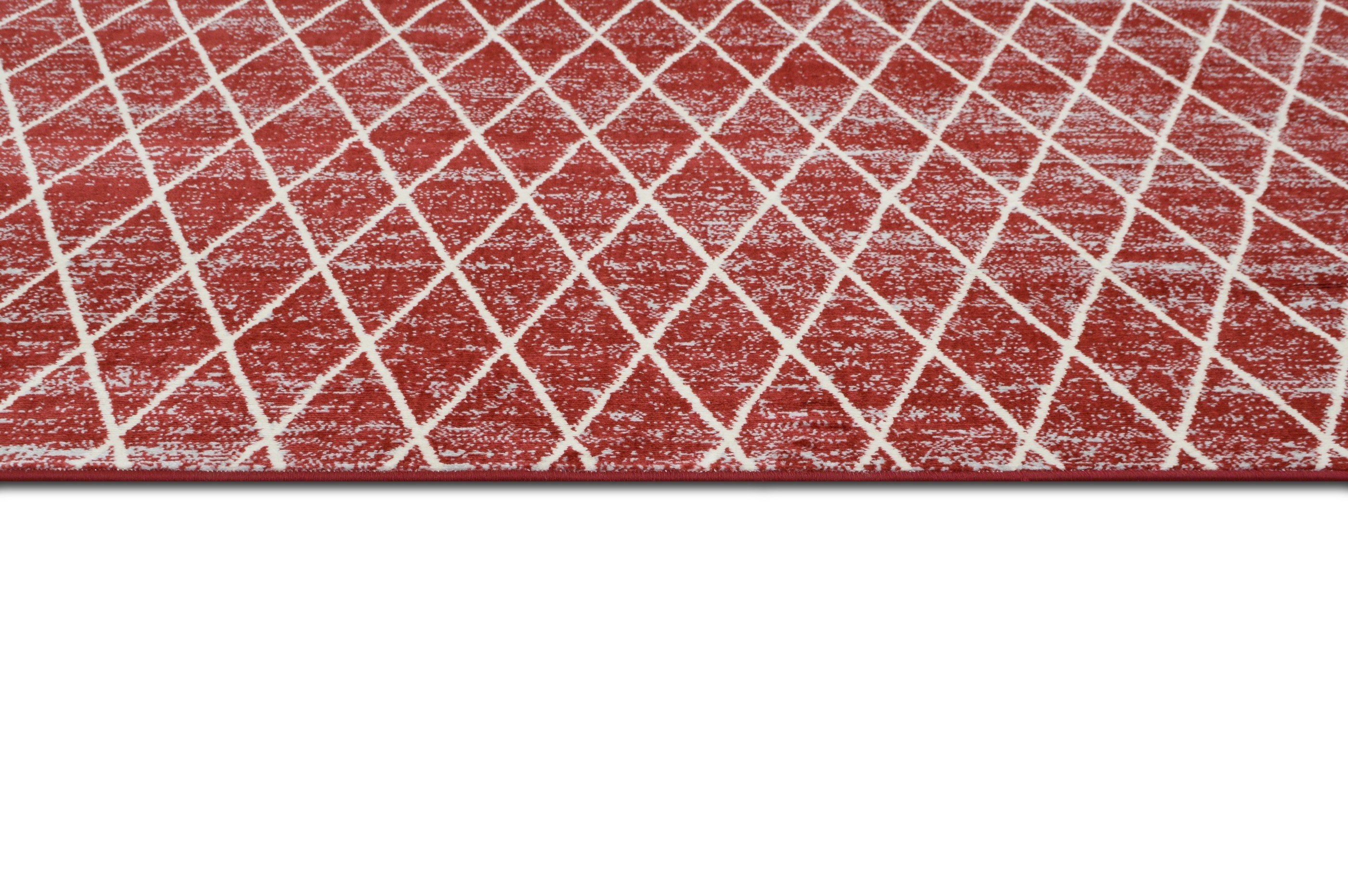 Moroccan Trellis/Diamond Pattern Area Rug #81